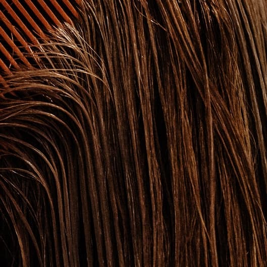 Blowout and Iron Package at Painted Lady Studio in Fort Myers, FL